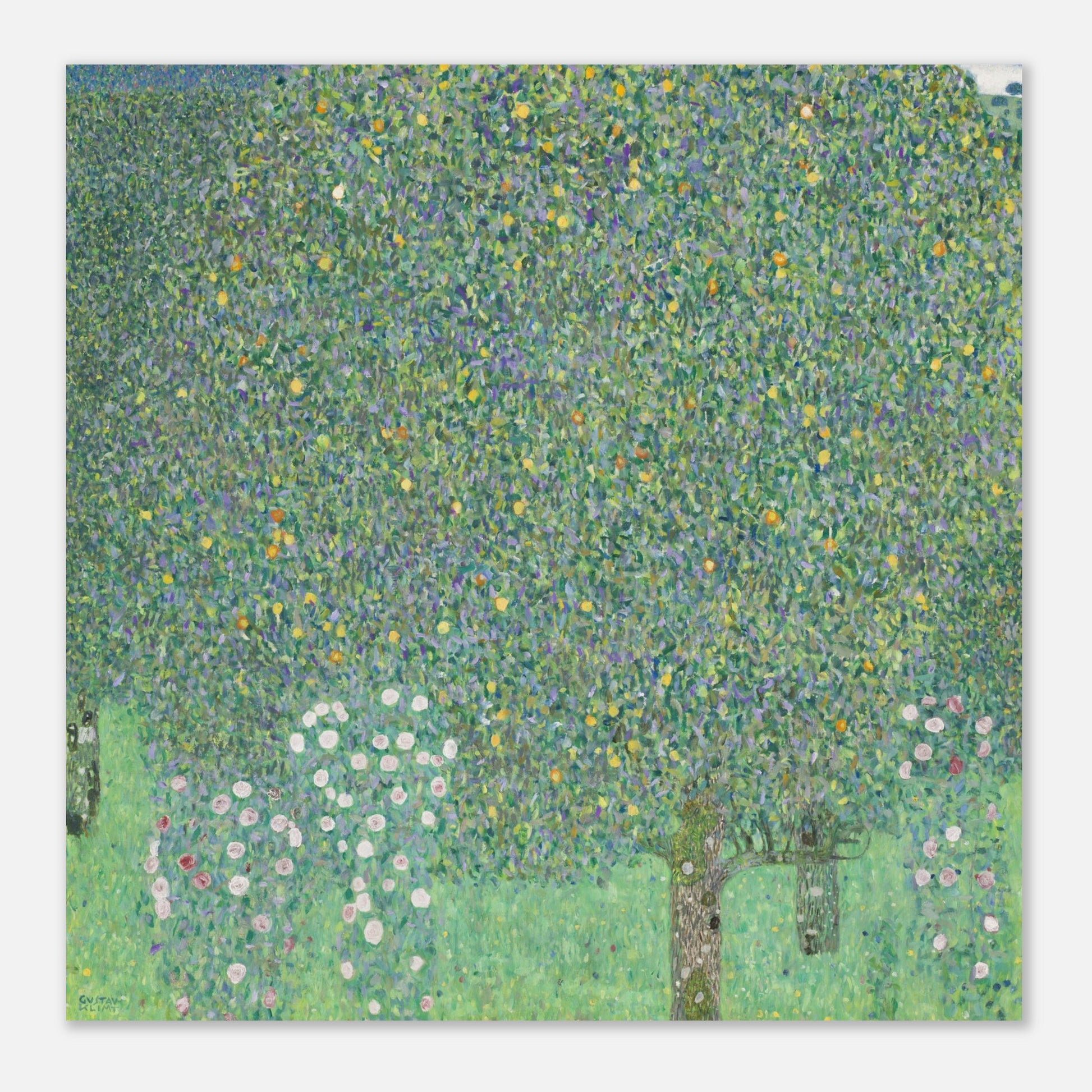 GUSTAV KLIMT - ROSEBUSHES UNDER THE TREES (circa 1905) - POSTER 12'' x 12'' 