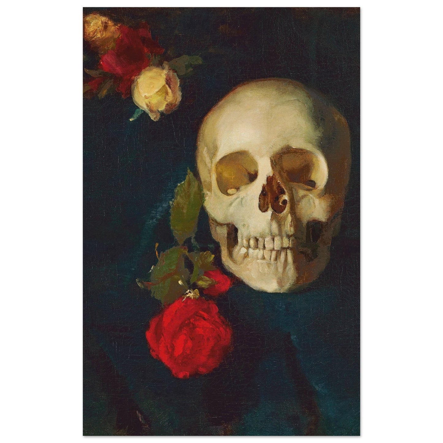 CARL SCHUCH - SKULL WITH ROSES - PREMIUM MATTE POSTER