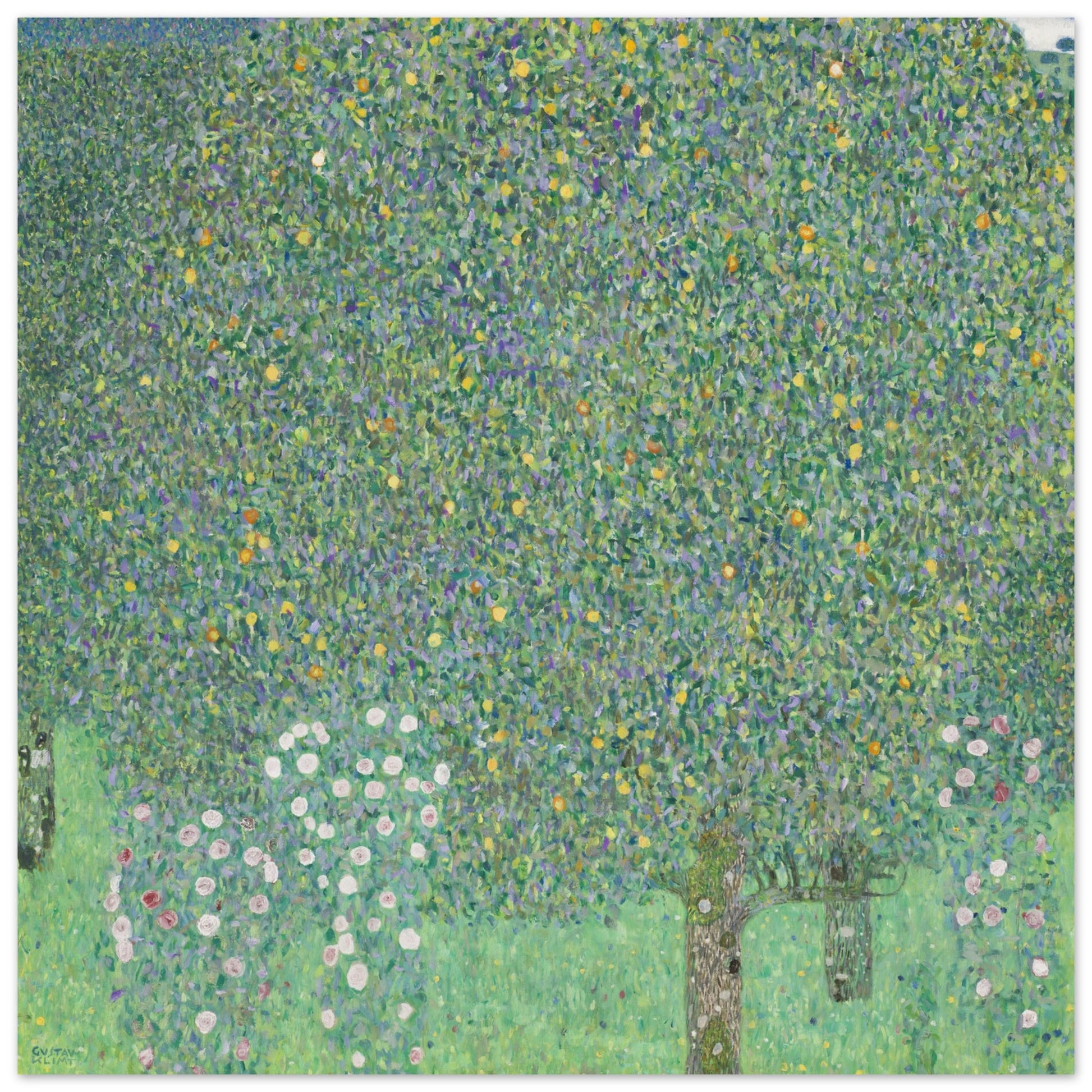 GUSTAV KLIMT - ROSEBUSHES UNDER THE TREES (circa 1905) - POSTER 12'' x 12'' 