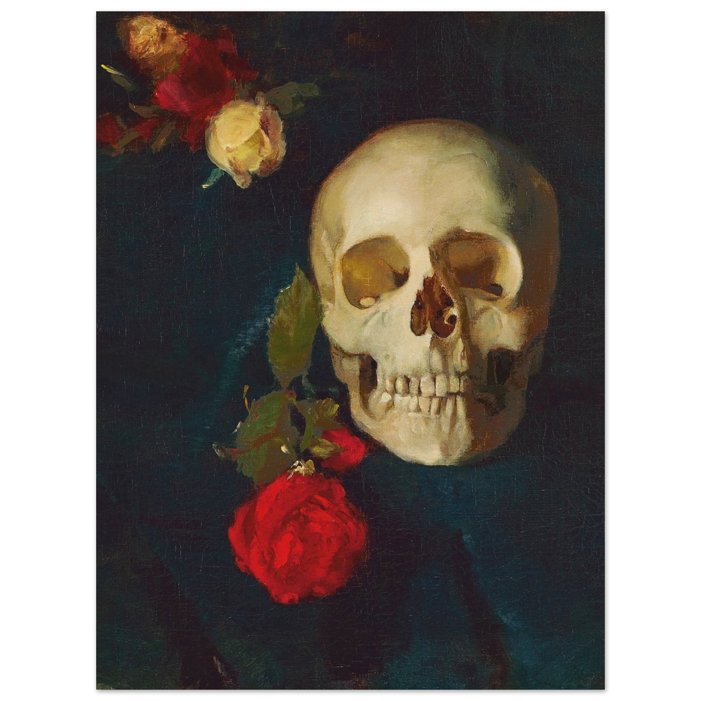 CARL SCHUCH - SKULL WITH ROSES - PREMIUM MATTE POSTER