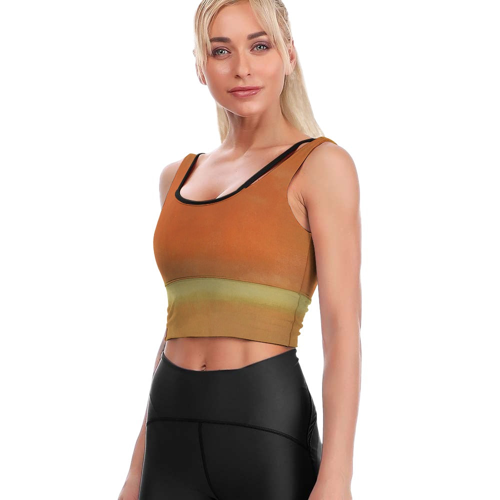 MARK ROTHKO - ABSTRACT ART DETAIL - YOGA SPORT BRA VEST