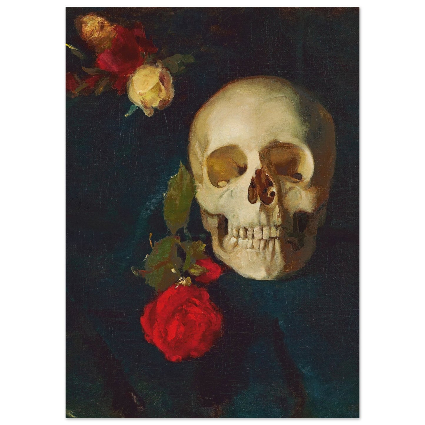 CARL SCHUCH - SKULL WITH ROSES - PREMIUM MATTE POSTER