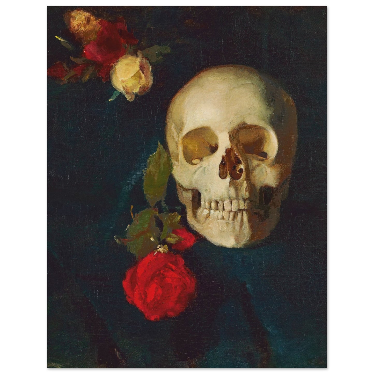 CARL SCHUCH - SKULL WITH ROSES - PREMIUM MATTE POSTER